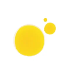 Multi-Vitamin + Antioxidants Pm Facial Oil