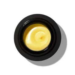Multi-Vitamin + Antioxidants Ultra Riche Pm Treatment